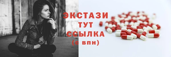 дживик Надым