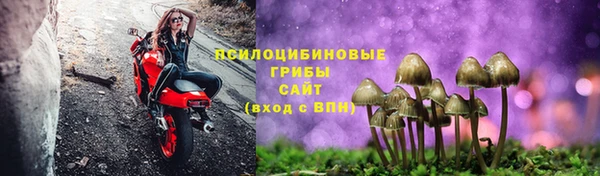 крисы Армянск